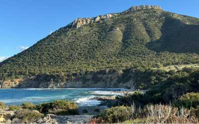 Wycieczka Marathon Jeep Safari - Narodowy Park Akamas z Ayia Napa