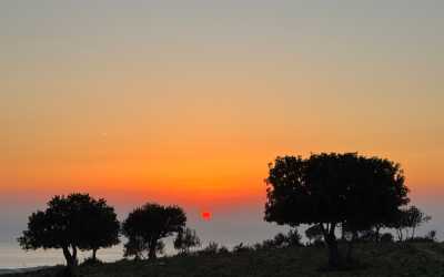 Wycieczka Marathon Jeep Safari - Narodowy Park Akamas z Ayia Napa