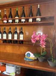 Wycieczka Dream of Turtles ST Georgios II rejs poranny z Protaras - marzenie zobaczyć żółwie dla rodzin