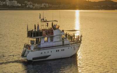 Wycieczka Dream of Turtles ST Georgios II rejs poranny z Protaras - marzenie zobaczyć żółwie dla rodzin