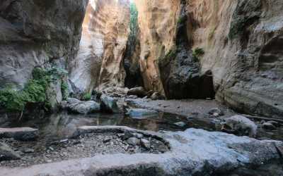 Wycieczka Akamas Tour z Pafos