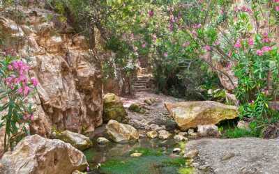 Wycieczka Akamas Tour z Pafos