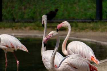 Wycieczka z Larnaki Marathon do Ayia Napa, Lefkary i więcej