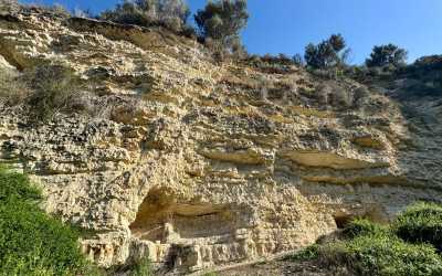 Wycieczka na plażę Skała Afrodyty z karmieniem osiołków z Pafos