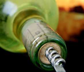 Wycieczka Szlakiem Cypryjskich Winnic - Kalamos Winiarnia