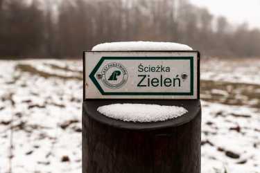 Wycieczka Termy w Uniejowie